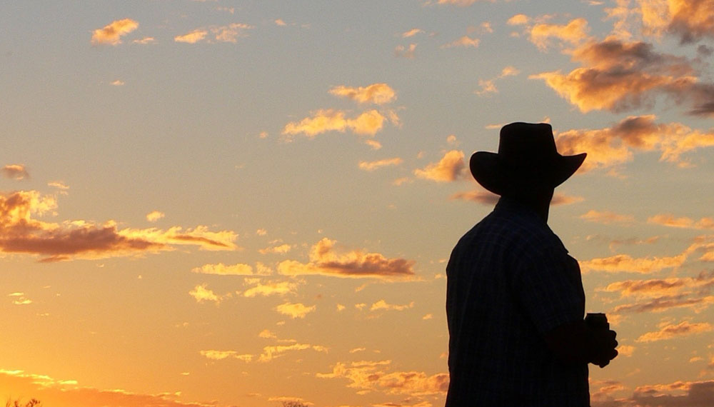 When the bush bites back