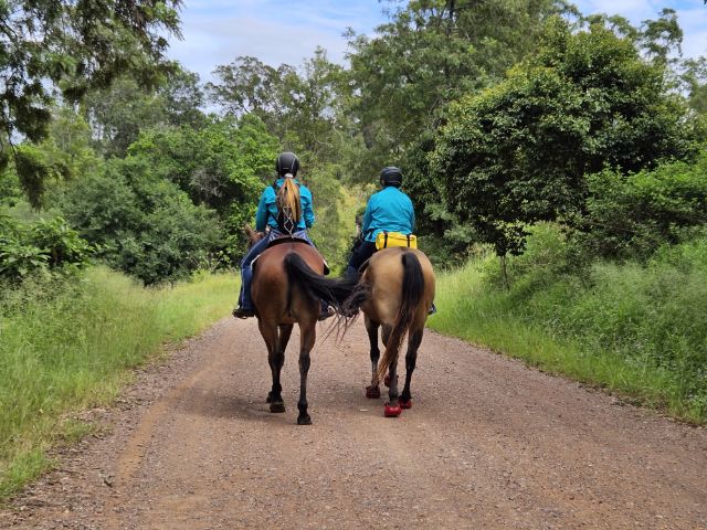 Safety on your saddle