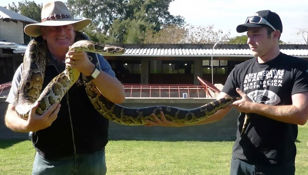 Snake Wrangler to the Rescue