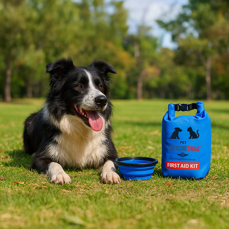 Pet First Aid Kit Pet First Aid Kit