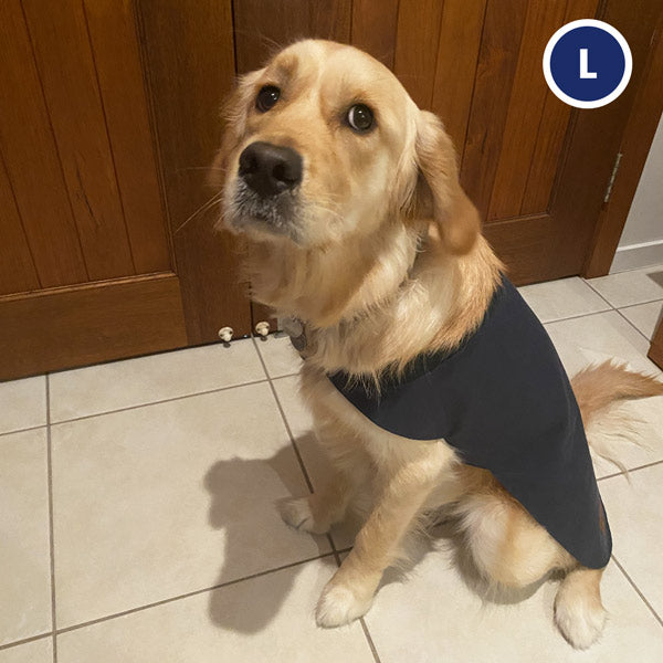 Waxed Cotton Dog Coat Waxed Cotton Dog Coat