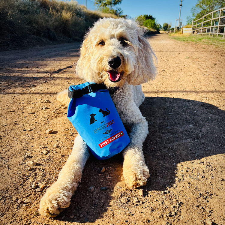 Pet First Aid Kit Pet First Aid Kit