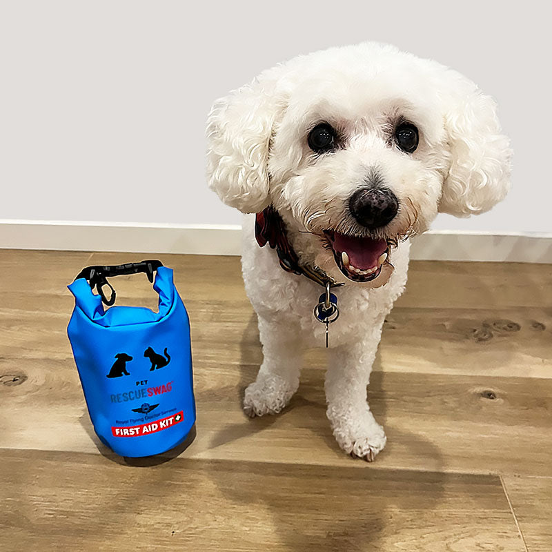 Dog First Aid Kit Dog First Aid Kit