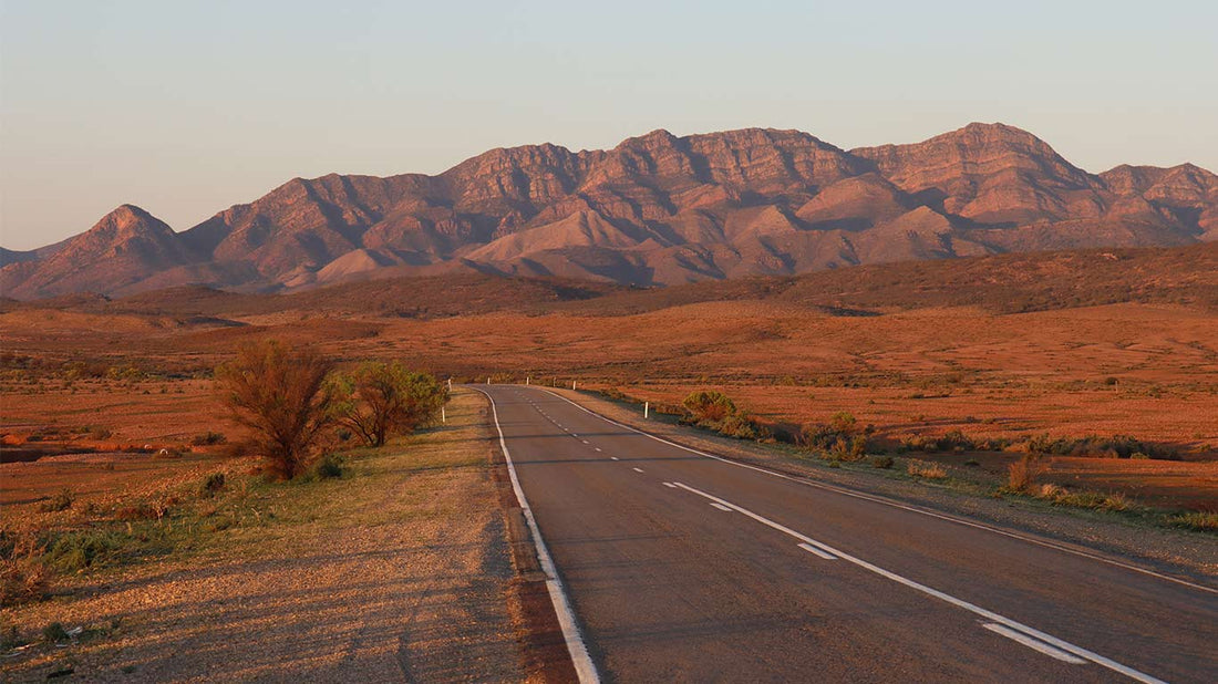 The Australian road trip essentials you need to know