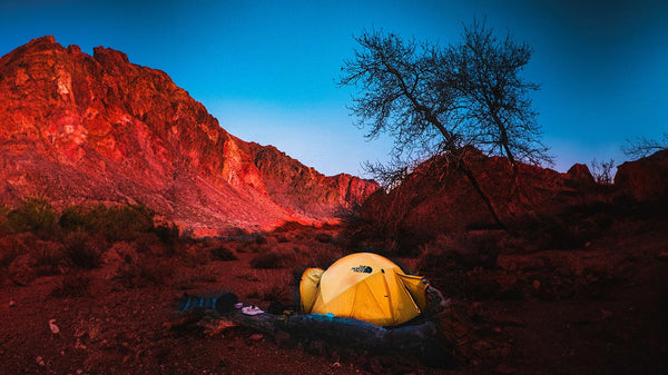 Summer camping: tips & essentials to pack