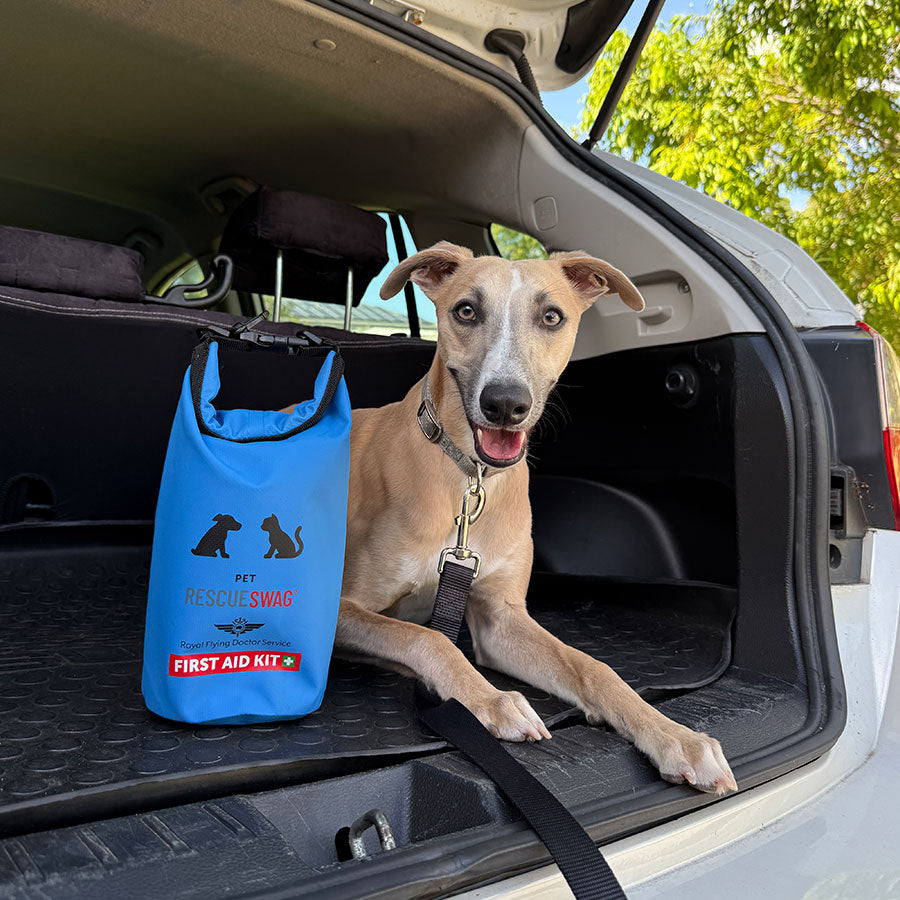 Shop products that make a difference.