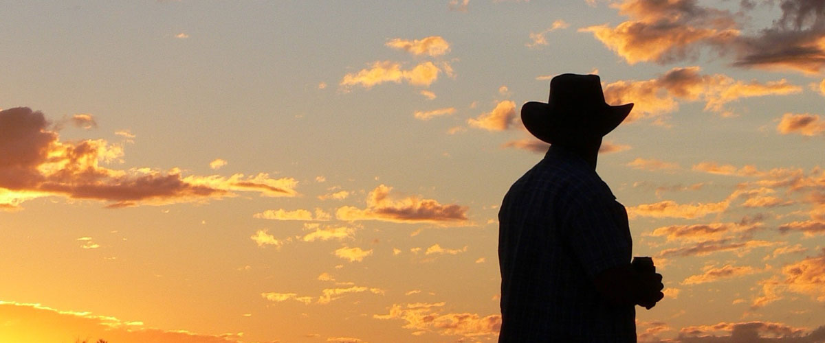 When the bush bites back