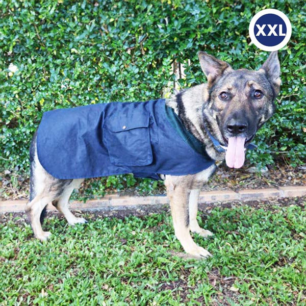 Large dog coat