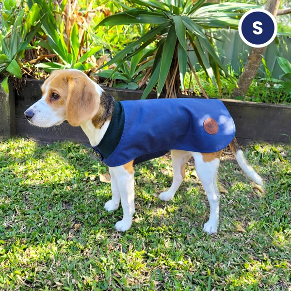 Small Waterproof dog coat
