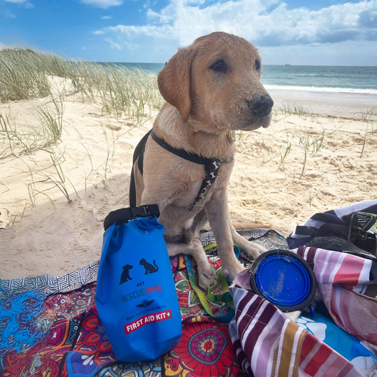 Pet First Aid Kit