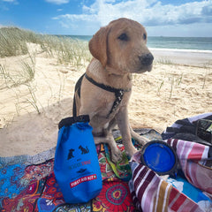 Pet First Aid Kit