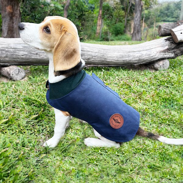 Waterproof dog coat 